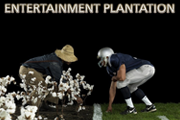 Entertainment Plantation Video